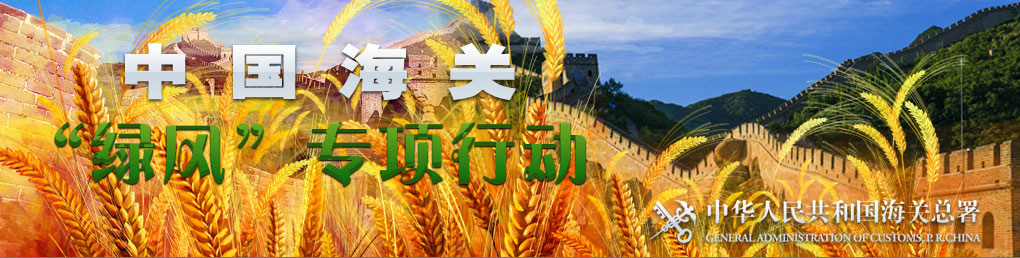 进口报关-绿风行动